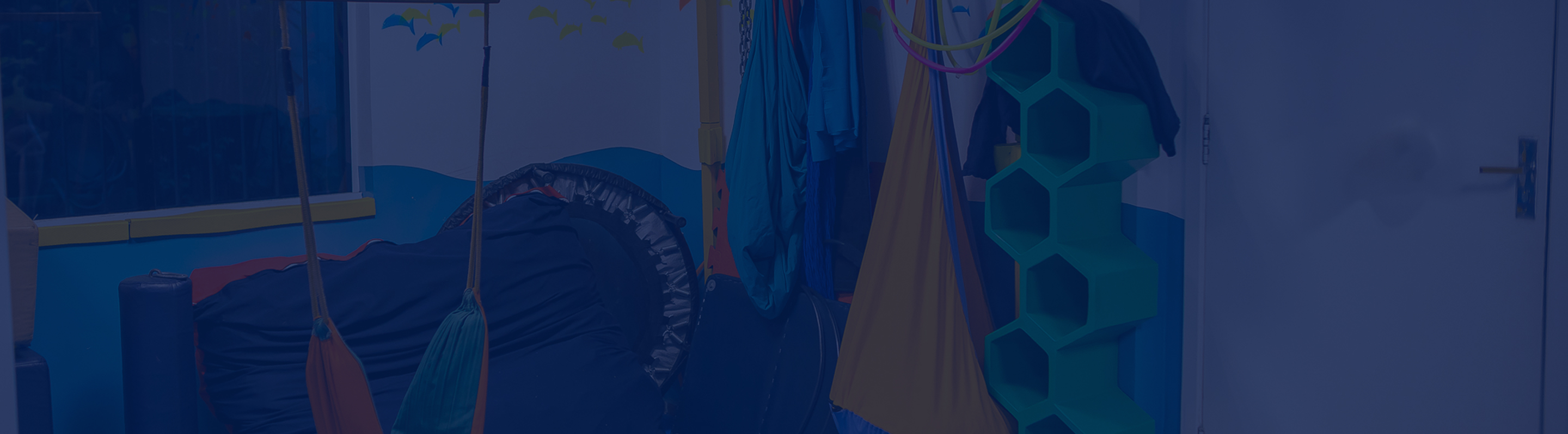 Imagen Hero Especialidades