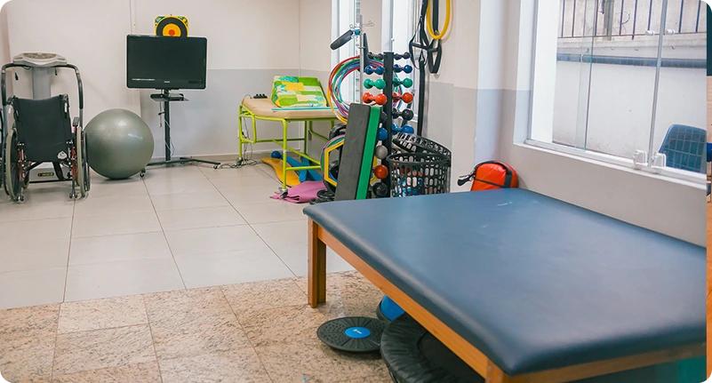 Fisioterapia Motora